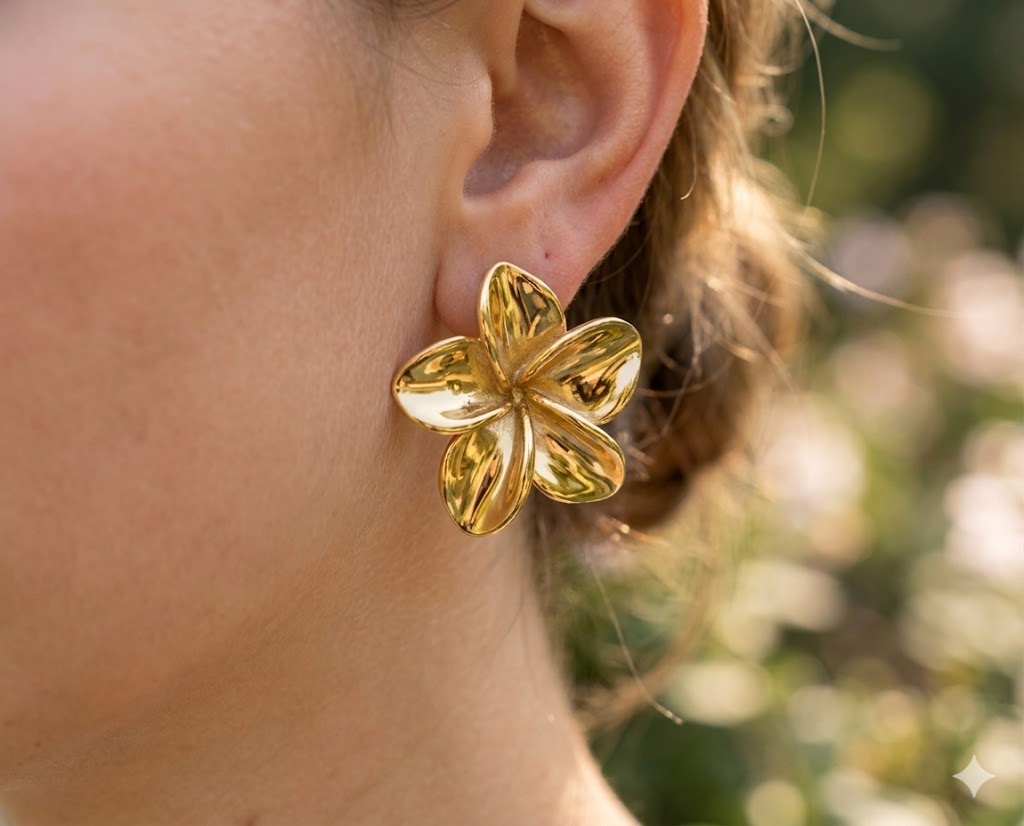 BOUCLES D'OREILLES